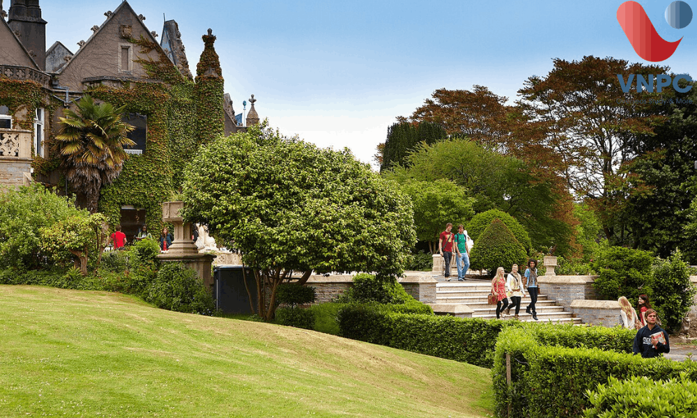 Du học Anh trường Swansea University: Điều kiện, chi phí và học bổng